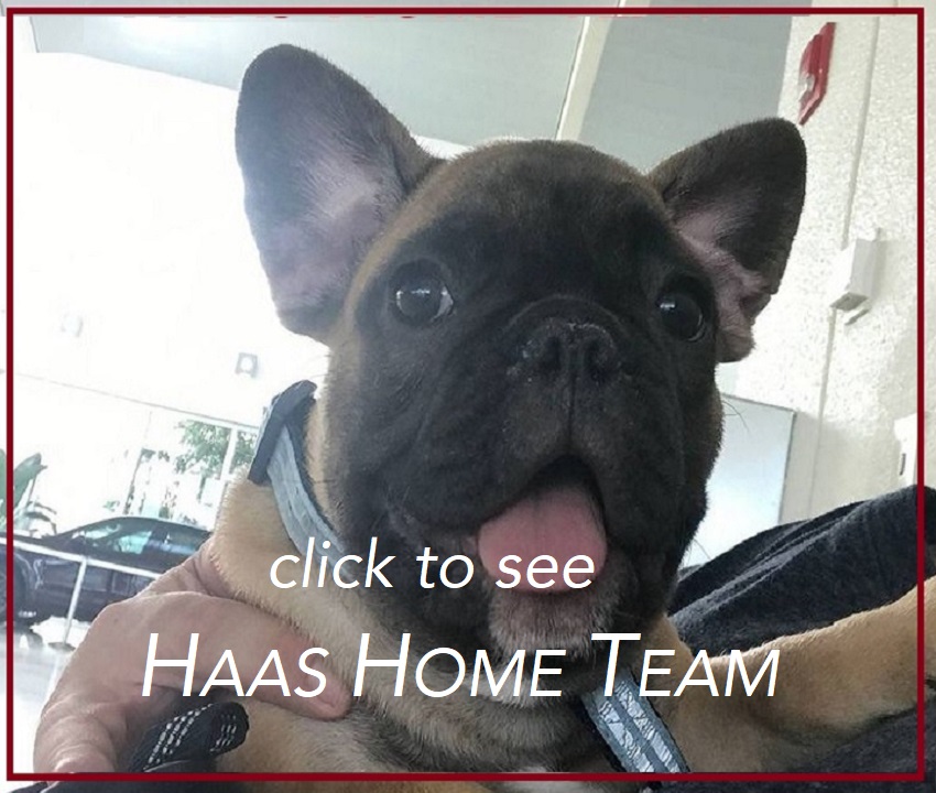 click Haas Home Team